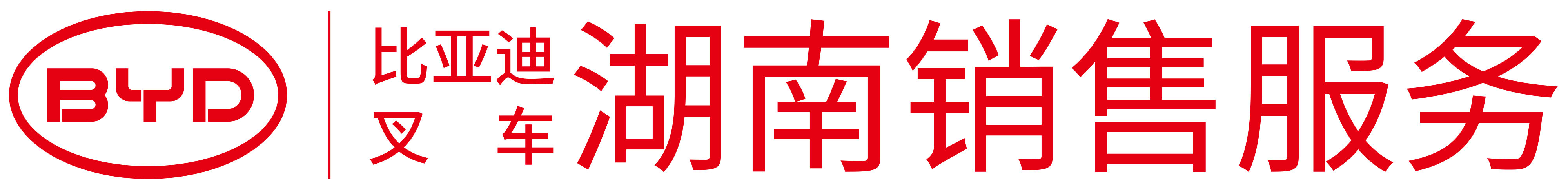 湖南比亚迪叉车